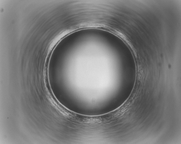 X0000056351187200508261304