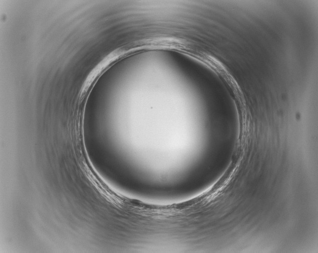 X0000056351196200508261303