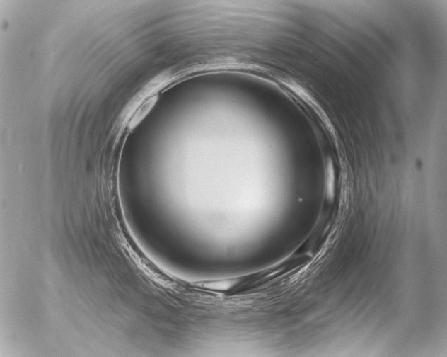 X0000056351197200508261303