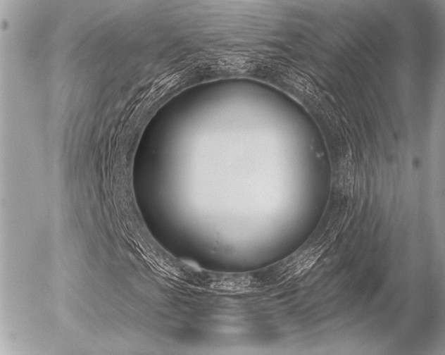 X0000056351201200508261303