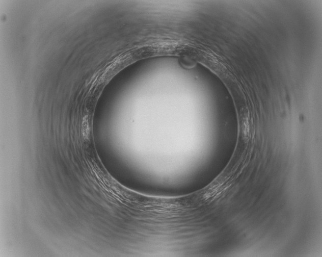 X0000056351204200508261303