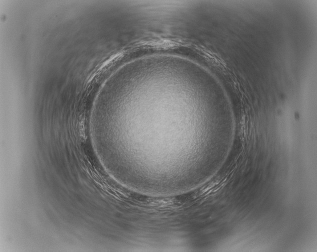 X0000056351205200508261303