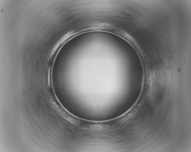 X0000056351227200508261303