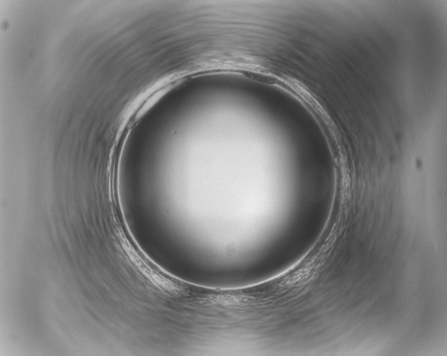 X0000056351246200508261303