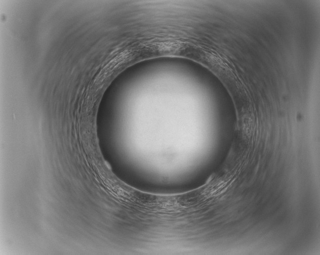 X0000056351249200508261303