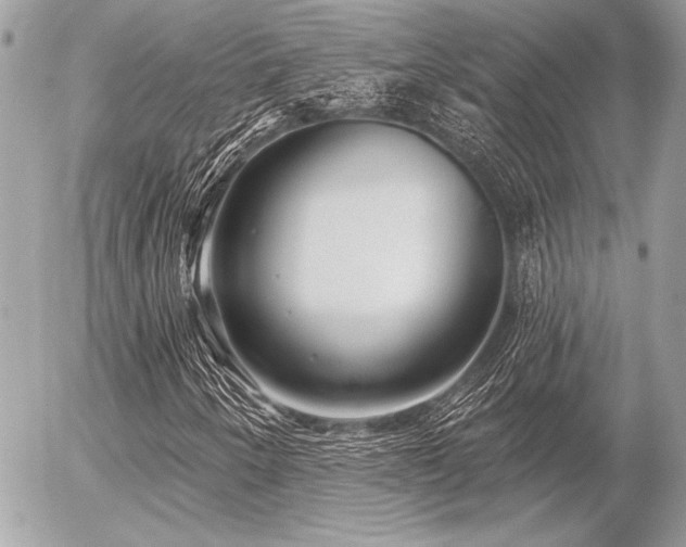 X0000056351250200508261303