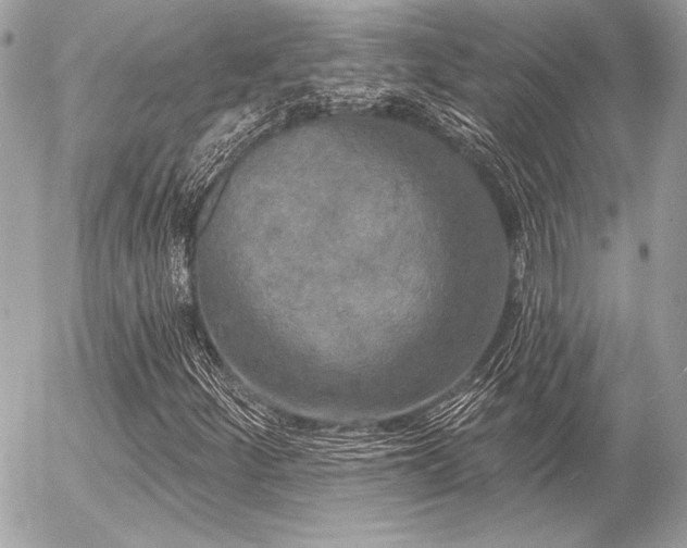 X0000056351252200508261303