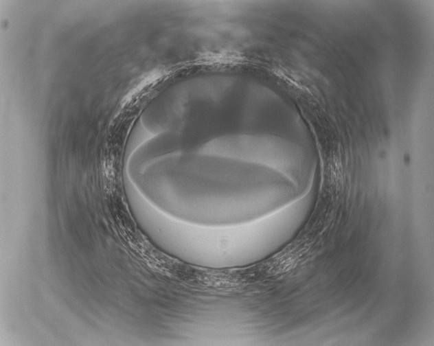 X0000056351254200508261303