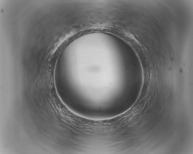 X0000056351256200508261302