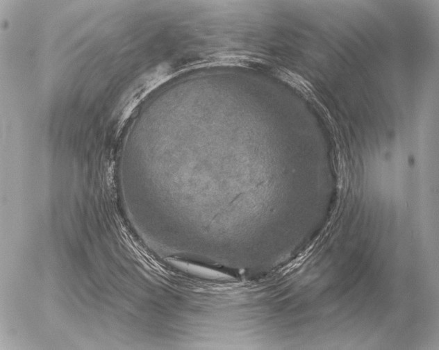 X0000056351260200508261302