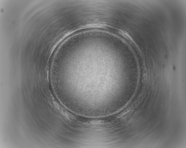 X0000056351268200508261302