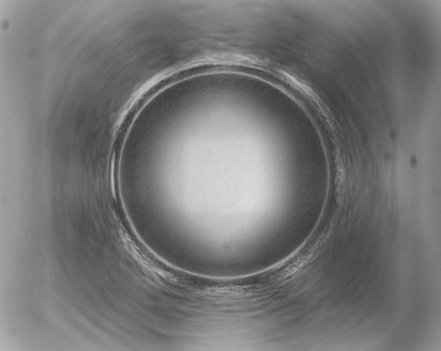 X0000056351272200508261302