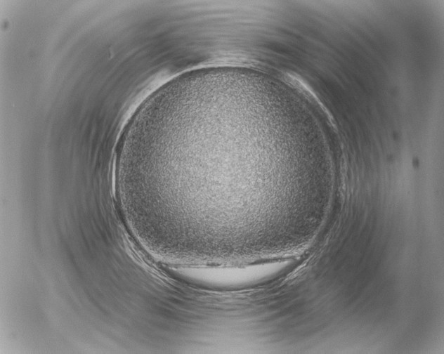 X0000056351276200508261302