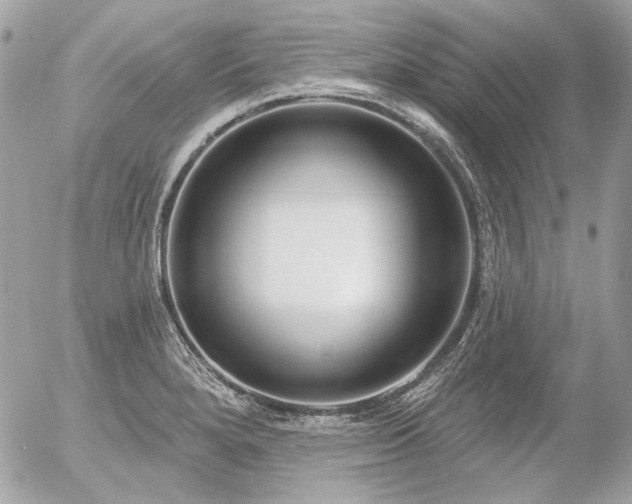 X0000056351280200508261302
