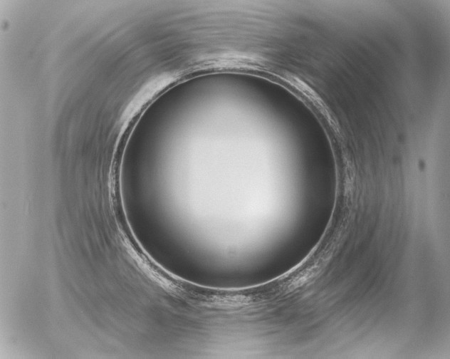 X0000056351285200508261302