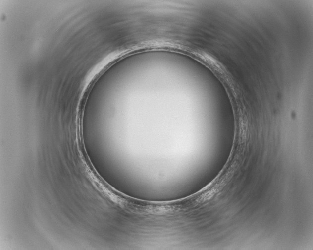 X0000056351286200508261302