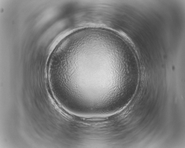 X0000056351287200508261302