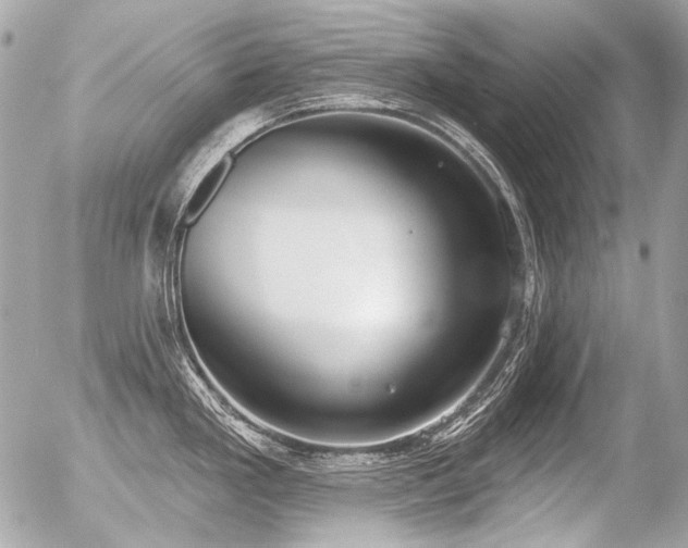 X0000056351293200508261302