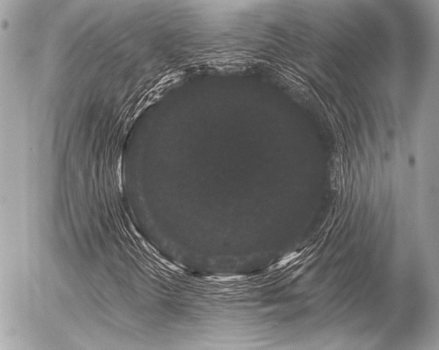 X0000056351298200508261301