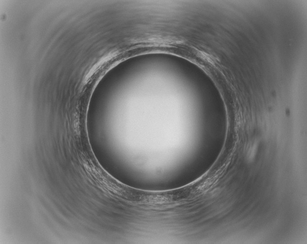 X0000056351307200508261301
