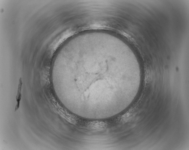 X0000056351314200508261301