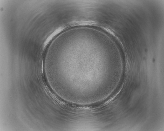 X0000056351317200508261301