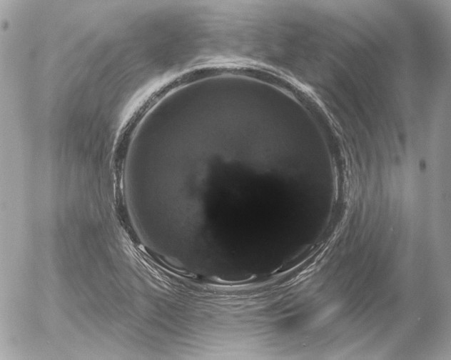 X0000056351319200508261301