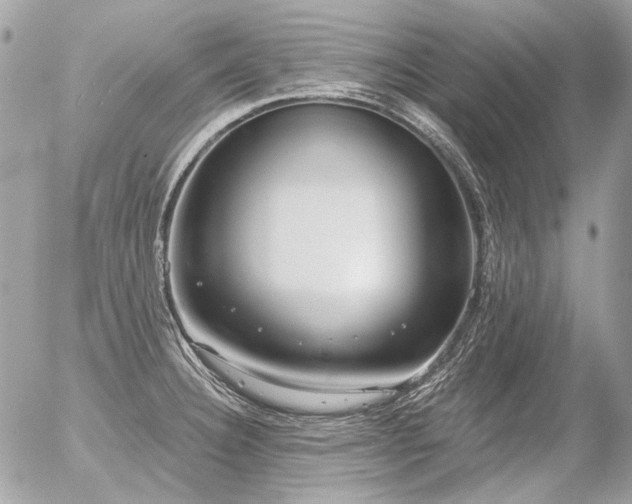 X0000056351332200508261302