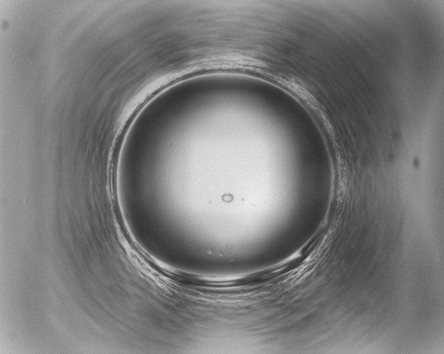 X0000056351342200508261302