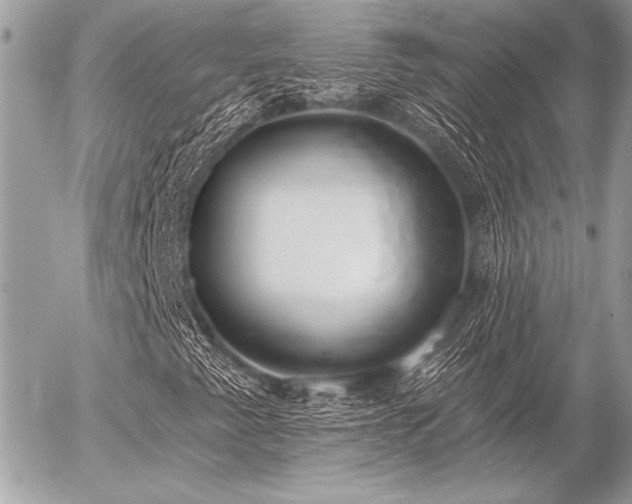 X0000056351345200508261301
