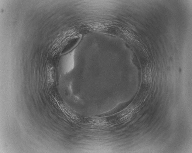 X0000056351346200508261301