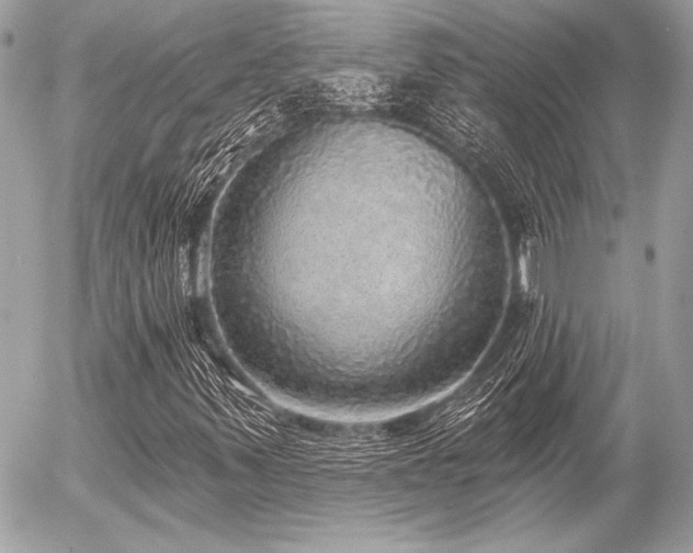 X0000056351347200508261301
