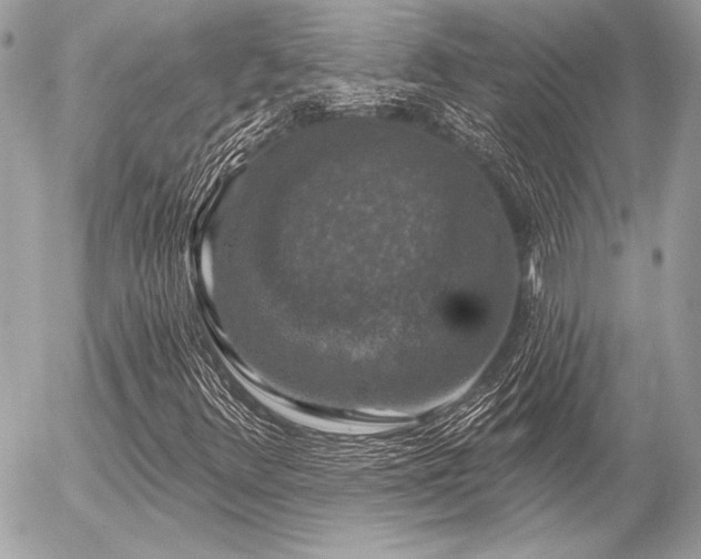 X0000056351348200508261301