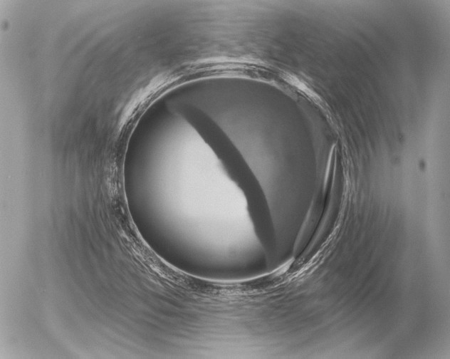 X0000056351357200508261301
