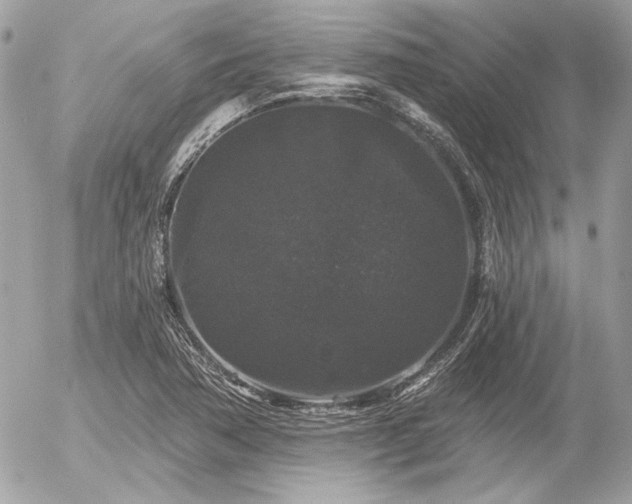 X0000056351362200508261301