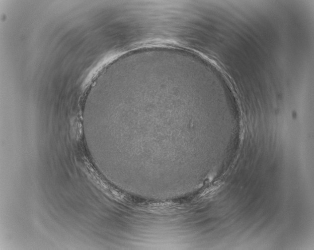X0000056351363200508261301