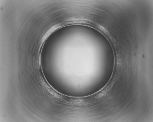 X0000056351370200508261301