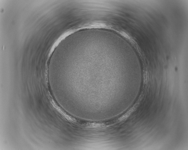 X0000056351374200508261301