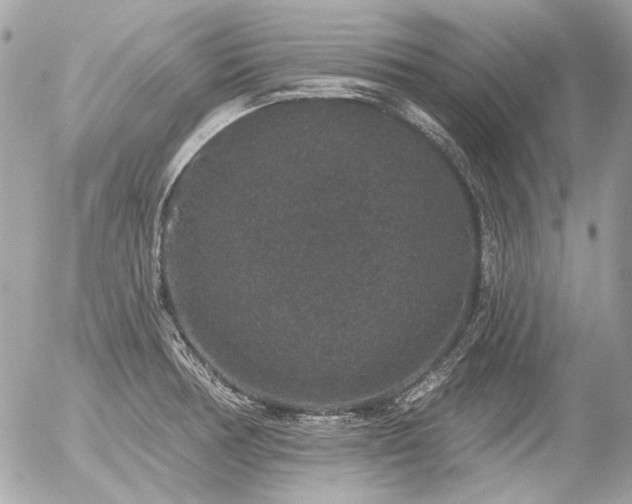 X0000056351378200508261300