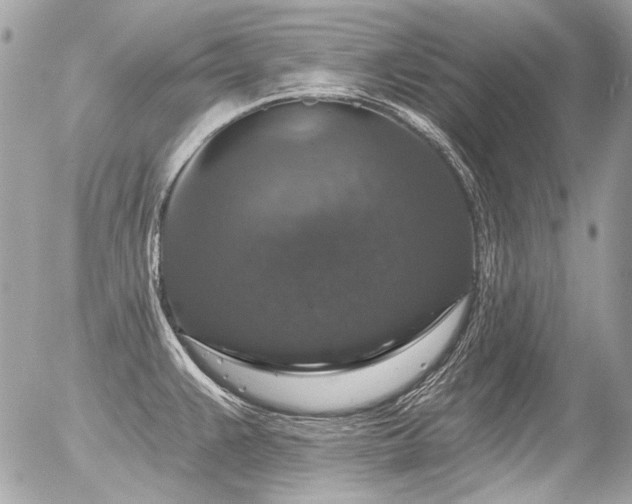 X0000056351383200508261300