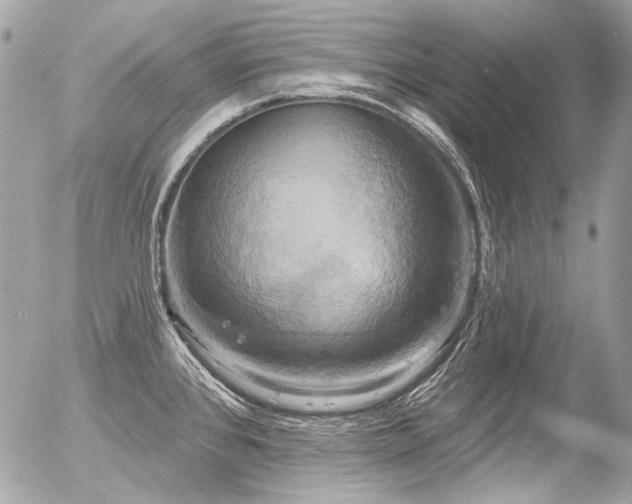 X0000056351384200508261300