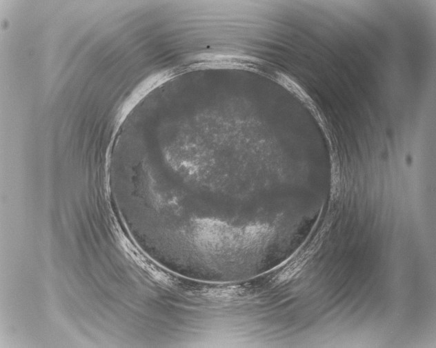 X0000056351386200508261300