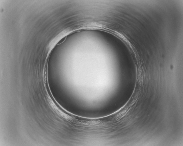 X0000056351387200508261300