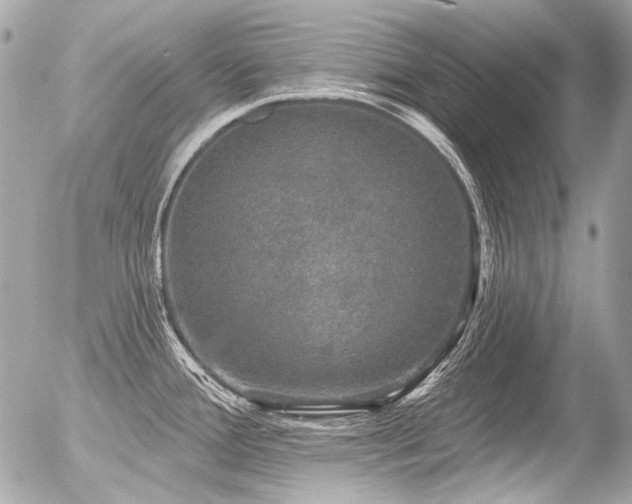 X0000056351388200508261300