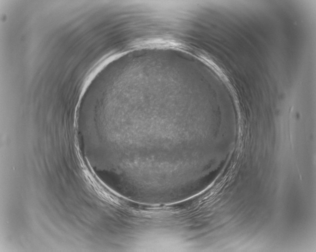 X0000056351392200508261300