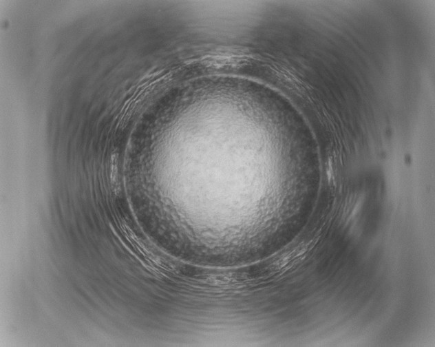 X0000056351396200508261259