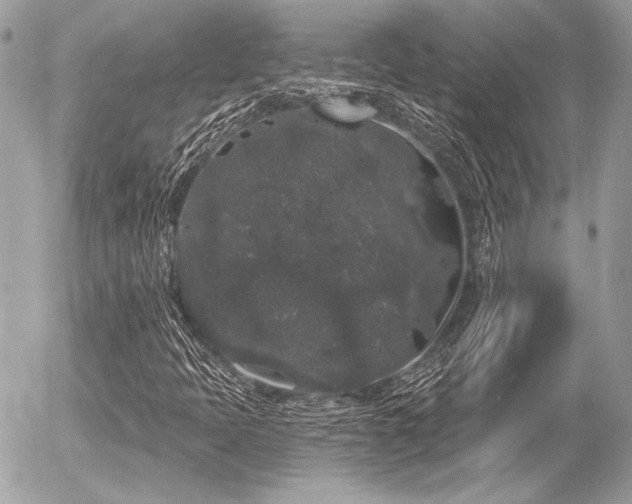 X0000056351397200508261300