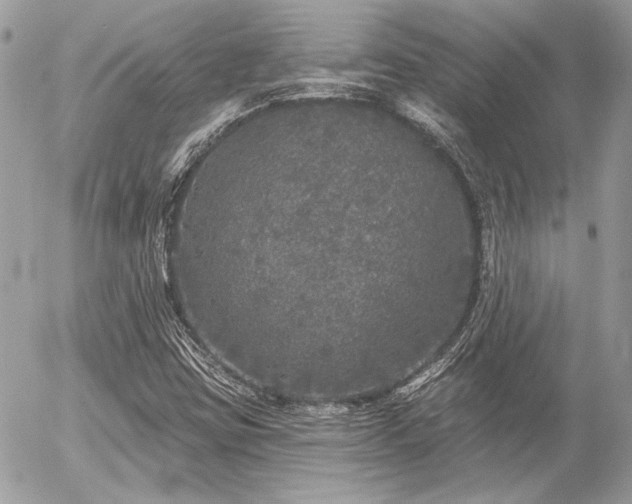 X0000056351403200508261300