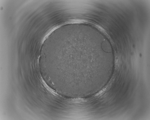 X0000056351417200508261300