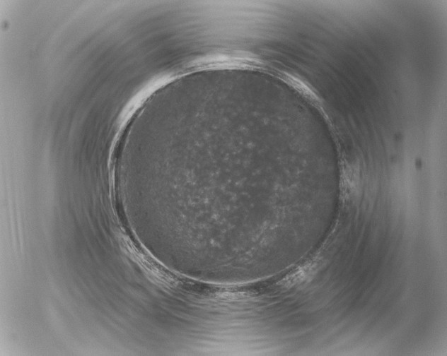 X0000056351419200508261300